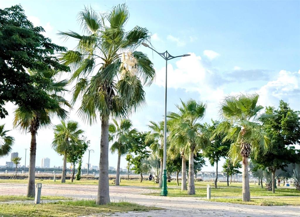 Hot! sập hầm 395m² đất với biệt thự bà điều ** giá cắt lỗ nặng chỉ 7,7 tỷ**( r=25m)