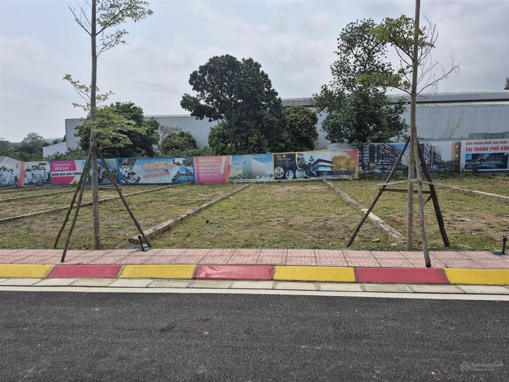 Ngay chợ long phú hòa thạch quốc oai 115m2. giá siêu đẹp lô này không dành cho người do dự