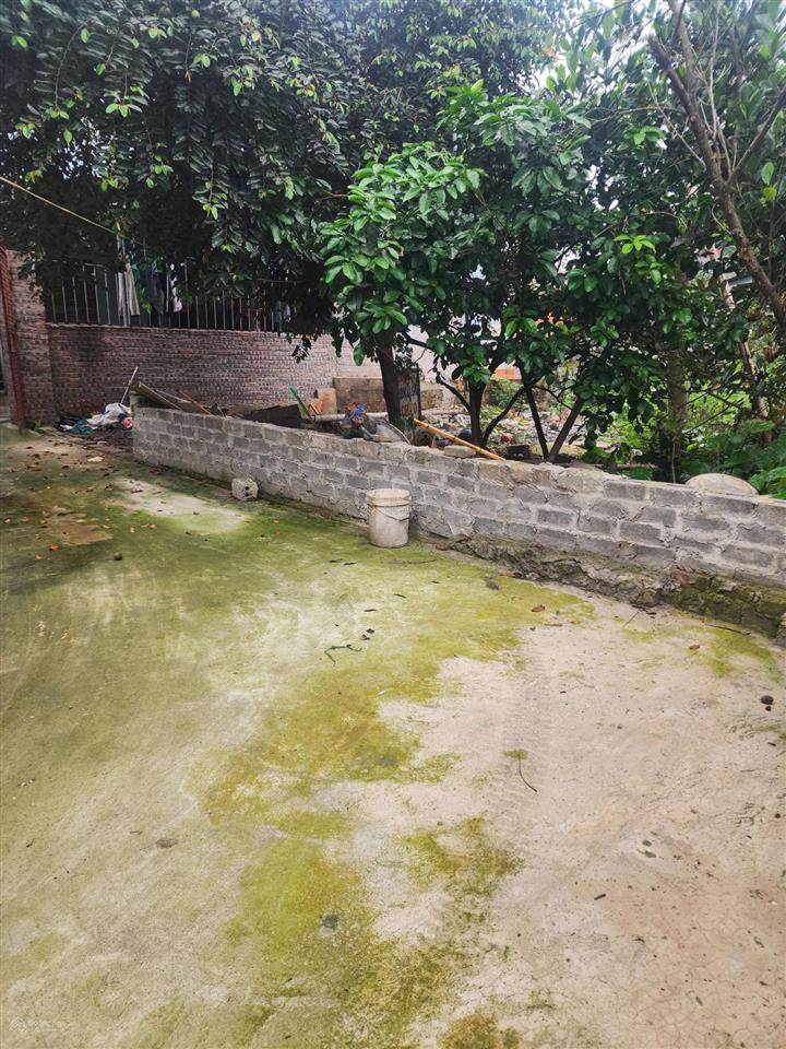Bán đất 80m2 giá 1,45 tỷ tại dt 428, xã trầm lộng, huyện ứng hòa, hà nội