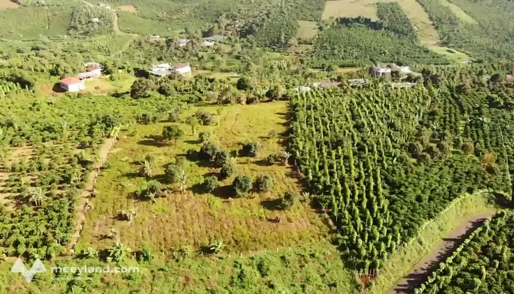 Bán đất thổ vườn Hòa Trung, Di Linh, Lâm Đồng
