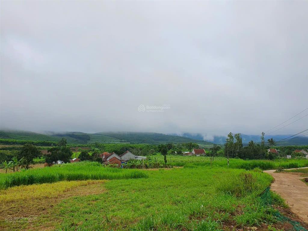Bán đất tại giáp an thọ tuy an tây đắk lắk, cao nguyên vân hòa, giá cực chất 1580 triệu, 1950m2