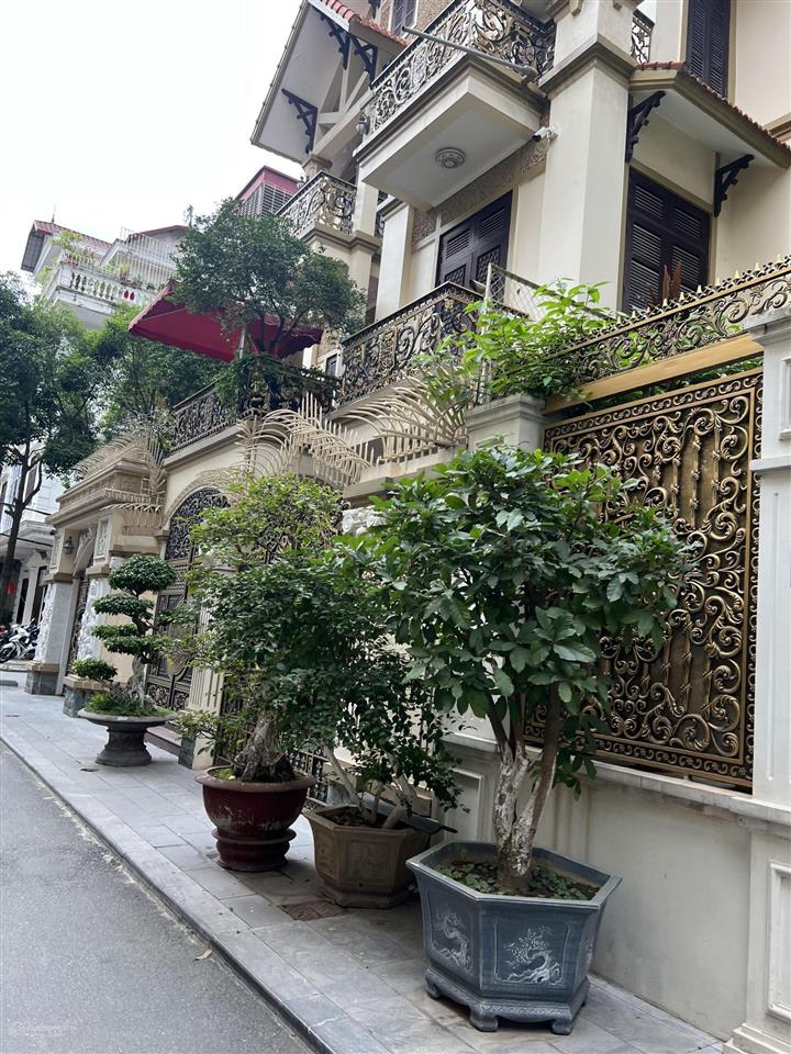 Biệt thự giá tốt kđt mỹ đình 1 vị trí đẹp view thoáng 200m² 4 tầng mặt tiền 10m giá 56 tỷ