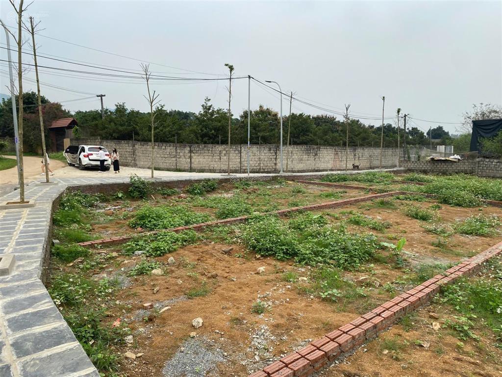 Bán gấp đất nền tại xã phú thành, 900 triệu, 80.9m2, nhiều tiện ích hấp dẫn