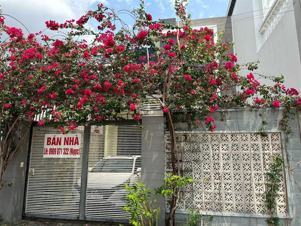 Bán rẻ nhà 1 trệt 1 lầu 7x20 cn 140m² xã hòa long, tp bà rịa (p tam long, hcm mới)