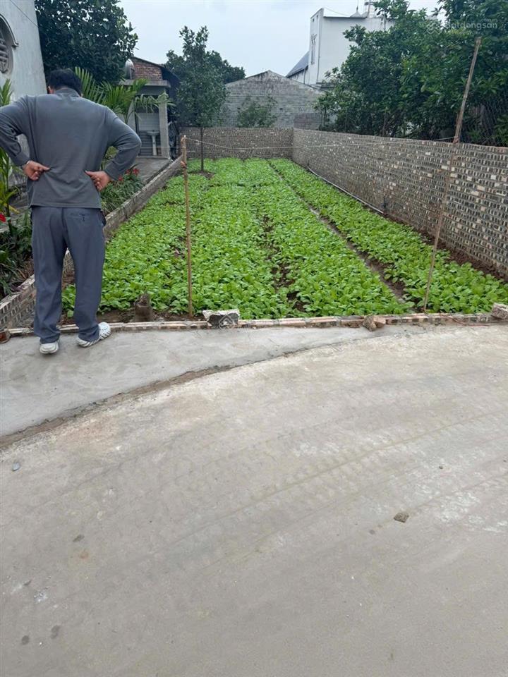 Bán 100m² đất đông tảo đường thông 3m giá 23,5tr/m2, 0925 988 ***