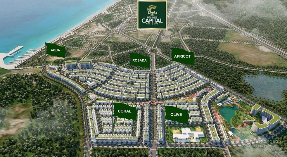 Chính chủ bán shophouse meyhomes capital trục chính trung tâm dự án 26m, giá tốt.