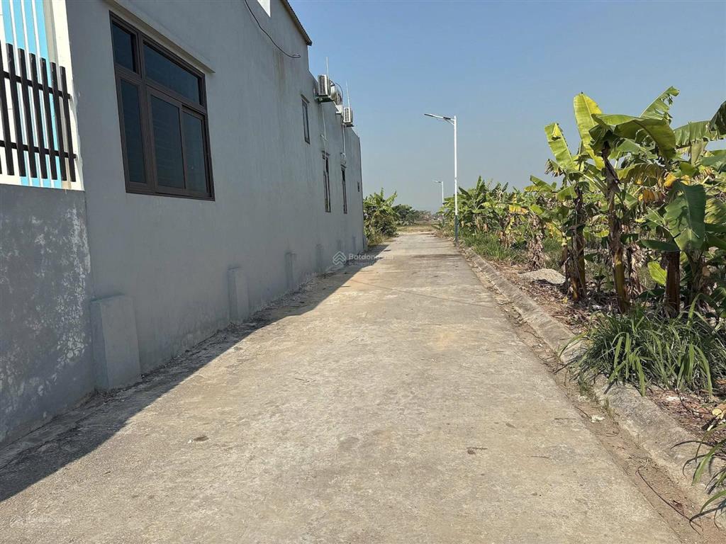 Chính chủ cần tiền bán gấp 1000m2 đất văn phong, phù lãng, bắc ninh/ đất rộng giá rẻ