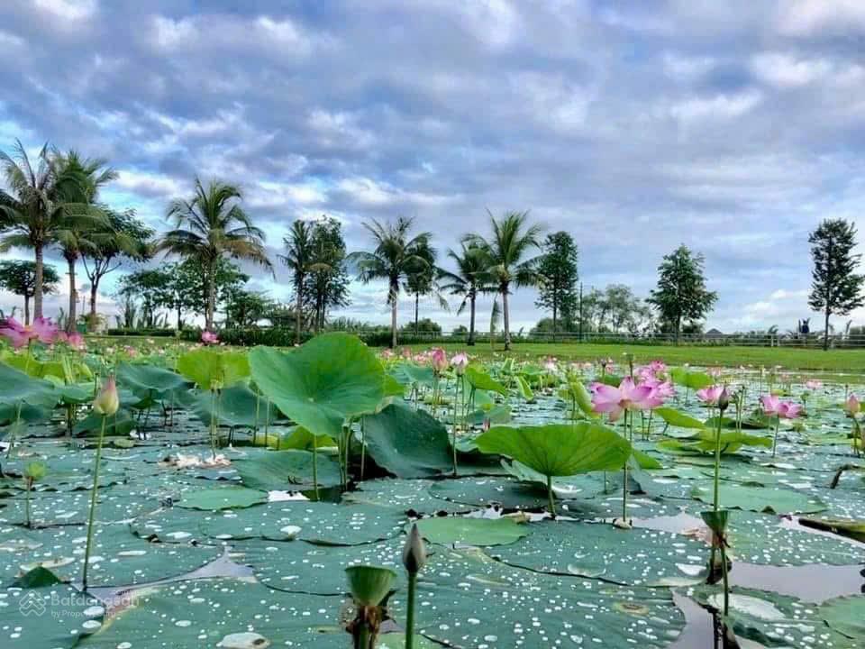 Cần bán trục chính park riverside, 5x15m, full nội thất, giá bán 10,4 tỷ (tl giá tốt)
