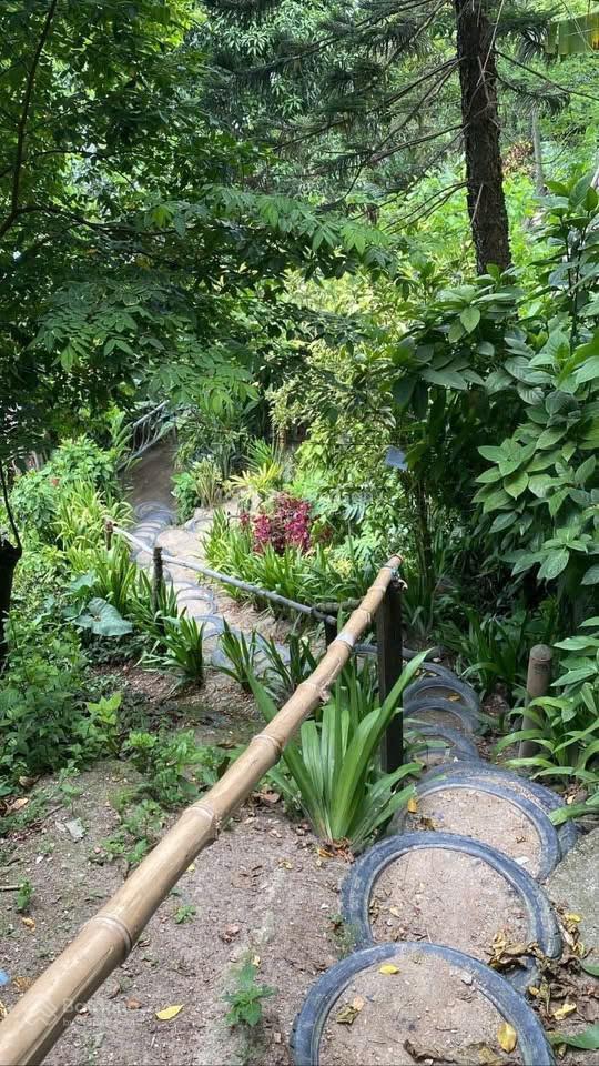Sở hữu mảnh vườn đồi view hồ trị an 1197m2 shr giáp suối cách ql20 chỉ 500m