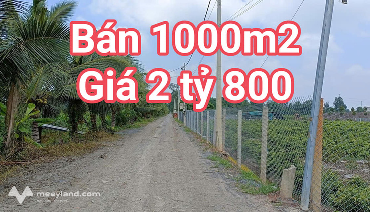 Bán 1000m2 - đất vườn - giá chỉ 2 tỷ 800 triệu - Bình Lợi - Bình Chánh