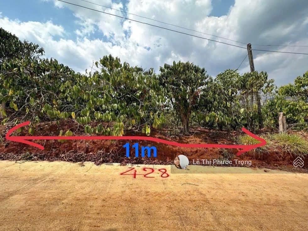 Chính chủ bán lô đất 381m2 (302m2 tc) 750triệu/ngang 11m đất cao, sẵn cà phê có view 0938 609 ***