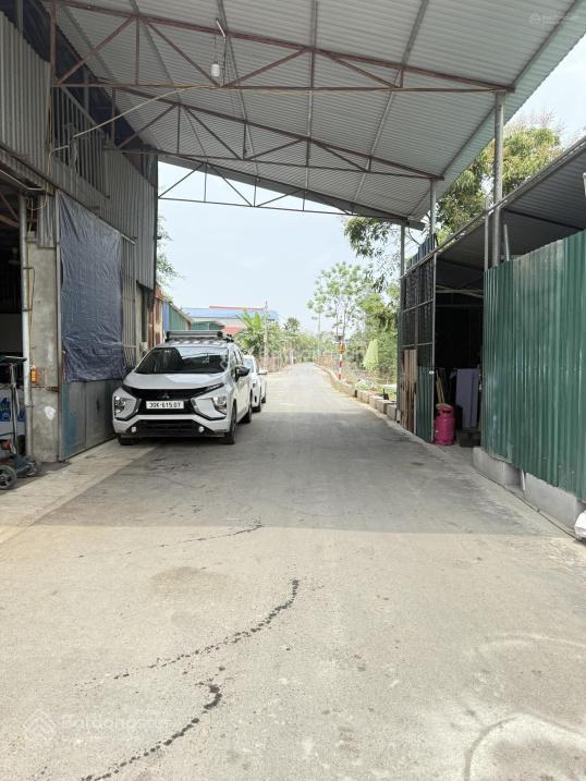 Bán lô góc 80m² trục chính xã ngọc liệp, view nhìn bảo tàng thiên nhiên cách viện nhi sản 500m