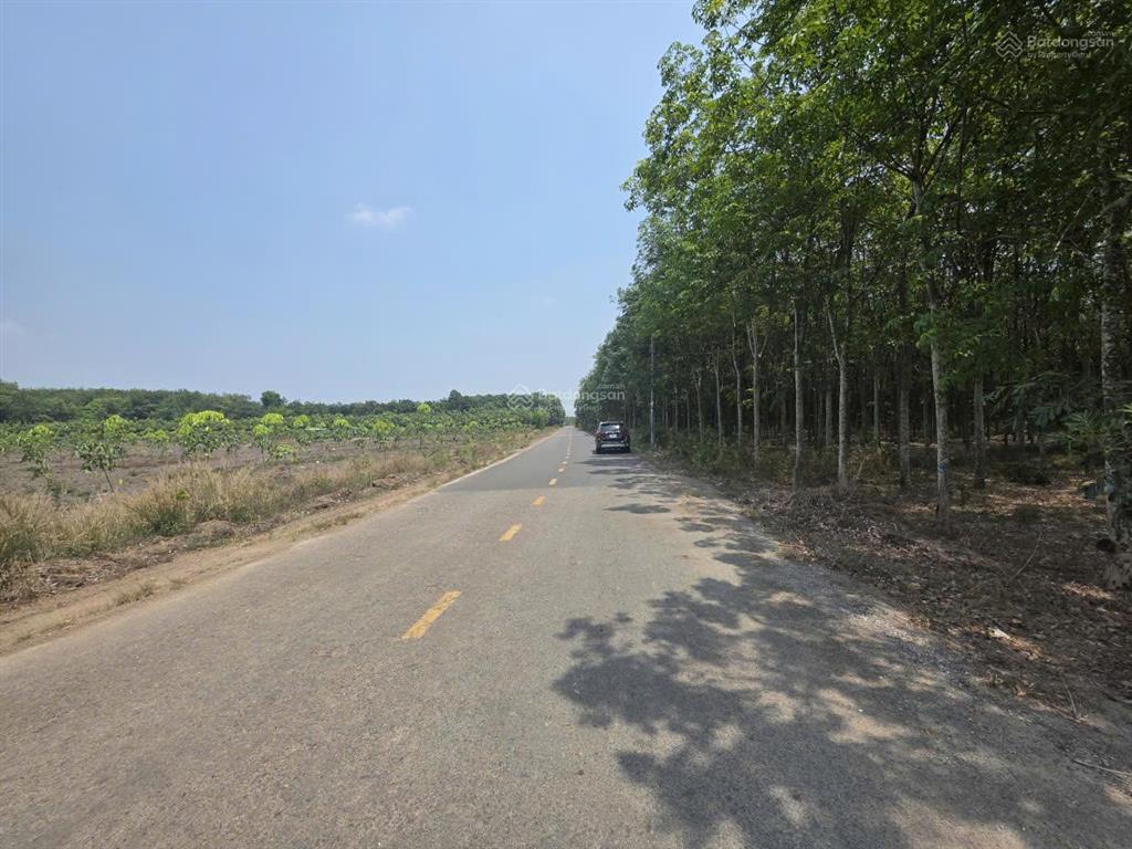 Bán lô đất 3.705m2 mặt tiền dh513 phú giáo, bình dương, qh phũ hồng, có thể lên đất ở