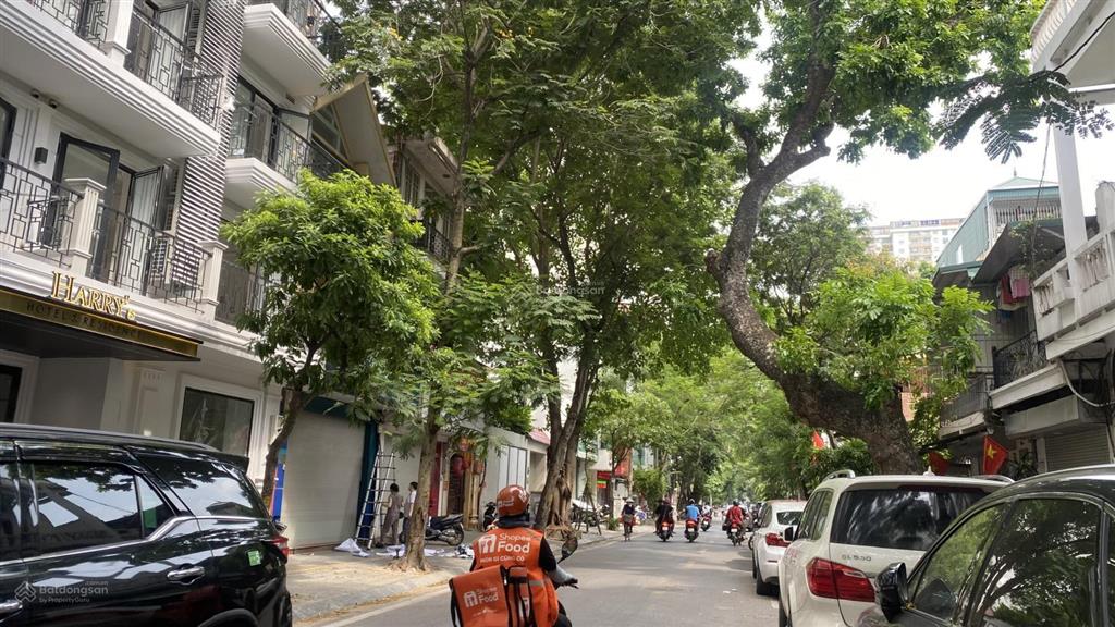 Bán nhà phân lô hai bà trưng, khu vực vip phường phạm đình hổ cũ. 20 tỷ 5 tầng cực đẹp