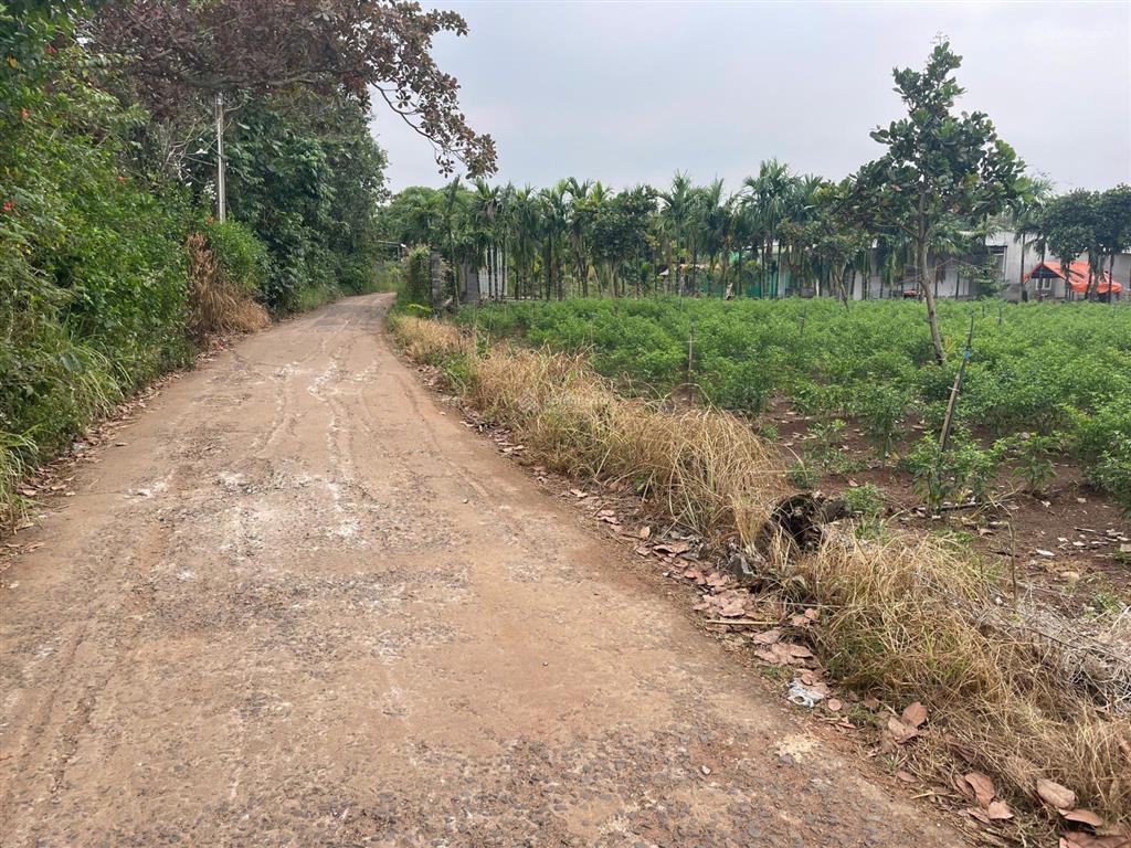 Bán đất tại bàu gia ló, 720 triệu, 200 m2, giá tốt