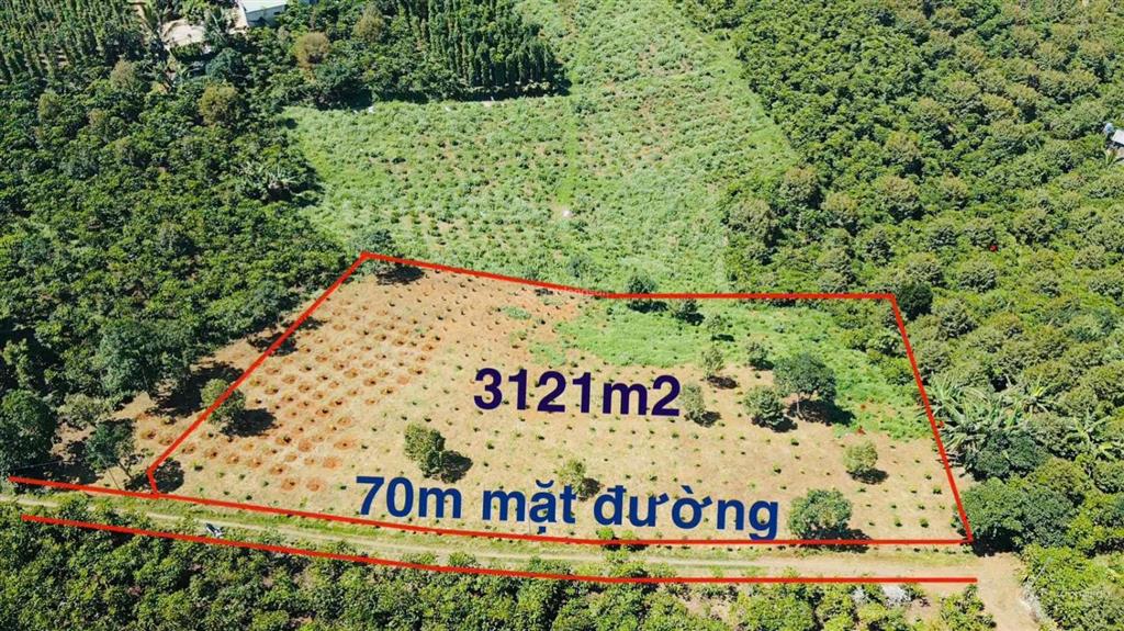 3121m2 đất vườn tân lạc lâm đồng có 70m mặt tiền đường ô tô (chỉ 1,7 tỷ)