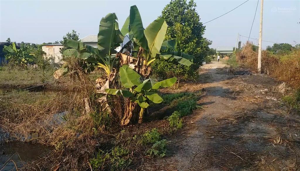 Cần bán lô đất đường kênh 5 vườn thơm, xã bình lợi