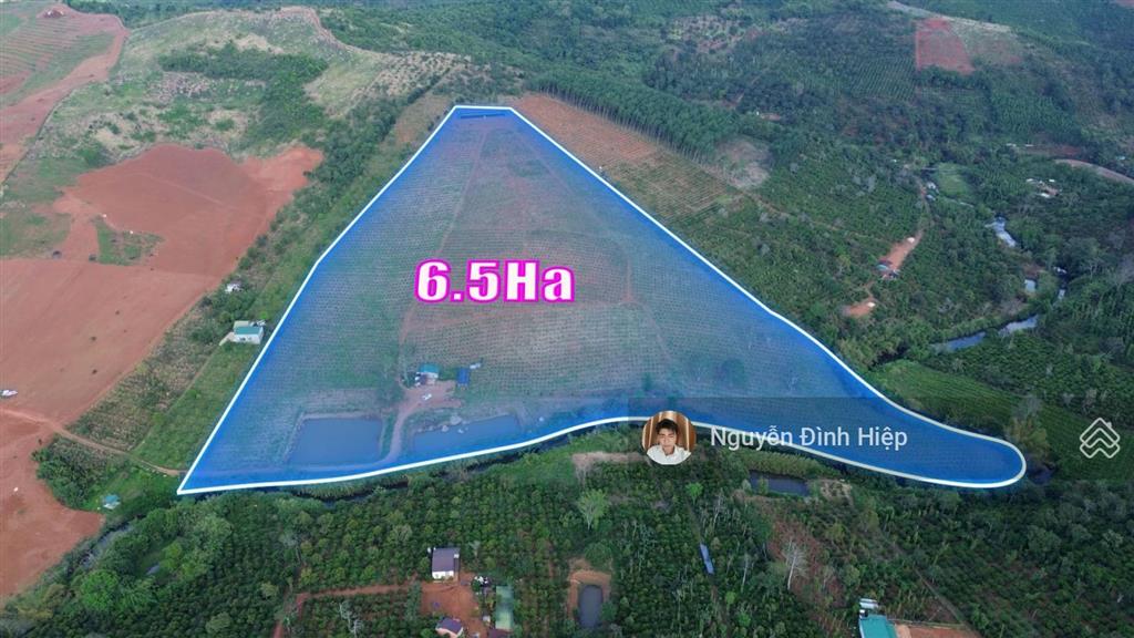 Bán 6.5ha vườn cà phê đẹp suối ôm 400m hệ thống tưới bài bản