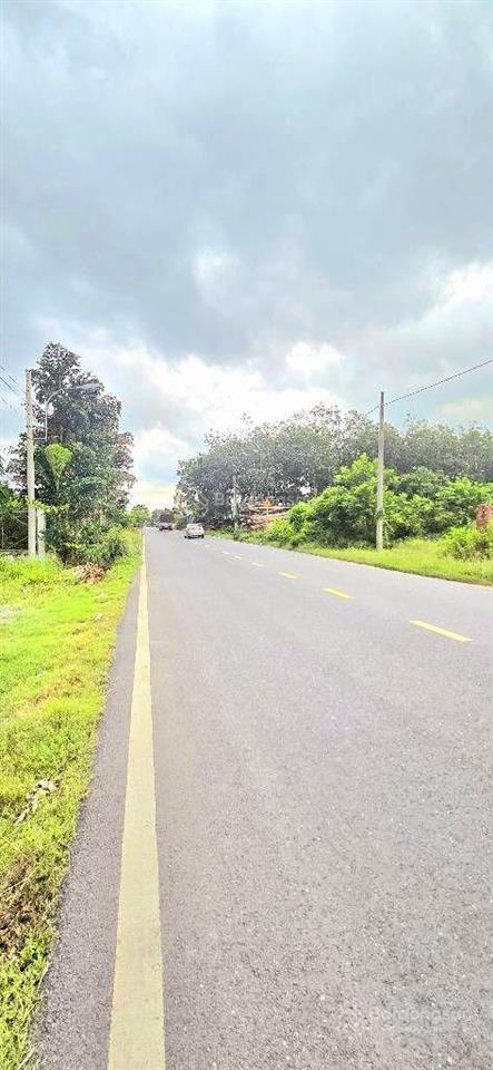 Mt tỉnh lộ 15 868m2 có 94m2 thổ cư ngang 16m giá chốt chỉ 9 tỷ