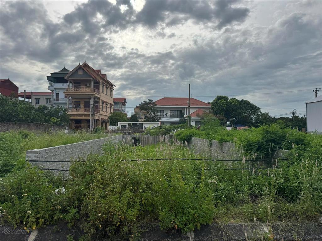 Bán đất đấu giá xuân trạch gần hàng xóm vin cổ loa và triển lãm. đc xuân trạch xã đông anh