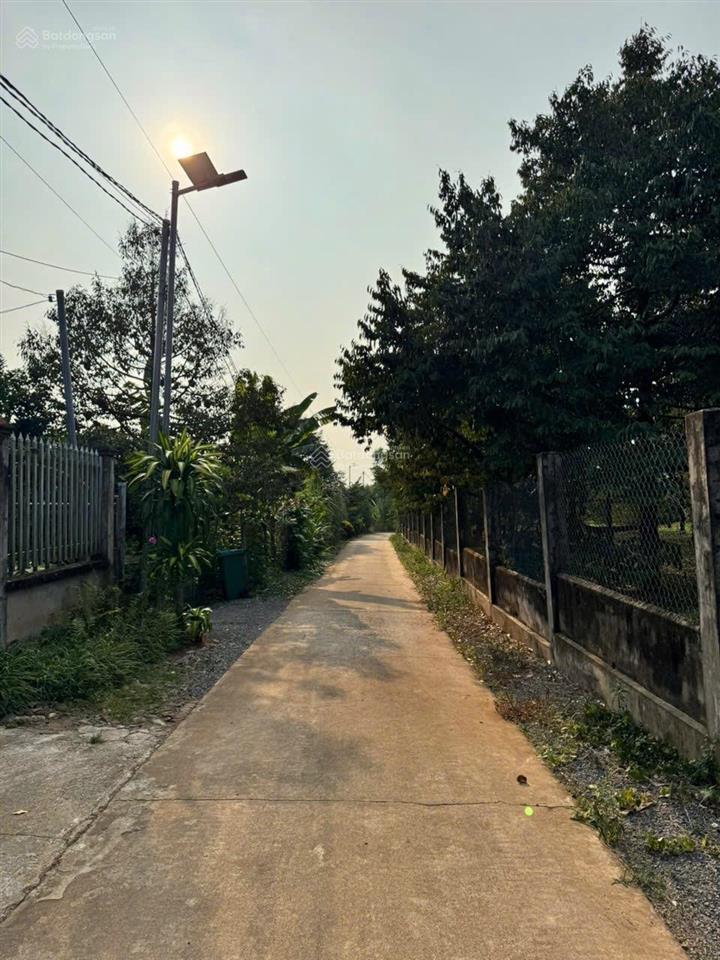 Bán 1912m vườn sầu riêng full hồng có thể phân lô cách kcn xuân quế 450m