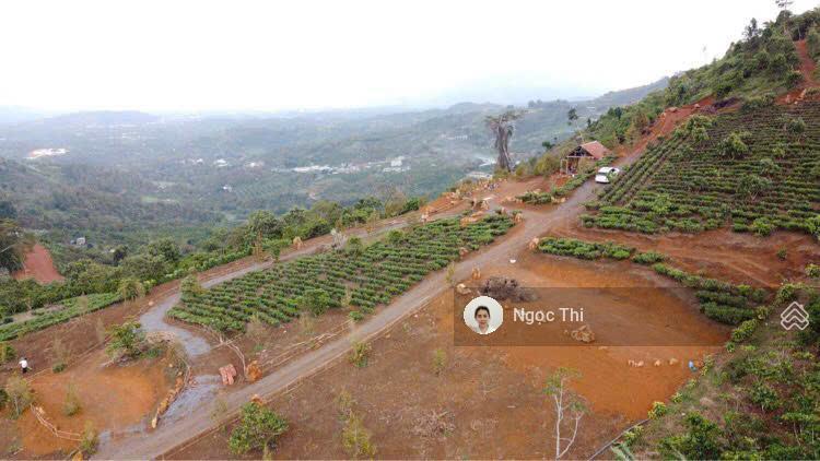 Cần bán gấp mảnh vườn gia đình, diện tích 14.500m2, đang trồng cà phê, giá cực kỳ rẻ