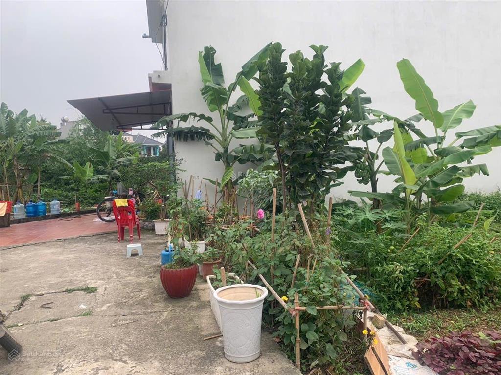 Bán lô đất vuông đẹp giá rẻ dt 60,5m2 mt 5,1m giá 1tỷ980tr. giá 1tỷ980tr đông lai quang tiến