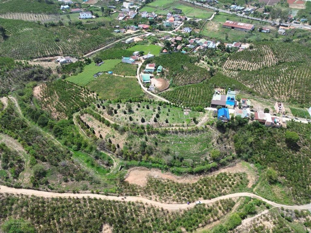 Giảm gấp 6 tỷ. bán 27.000m2 đất xã ninh gia, đức trọng, lâm đồng. giá 16 tỷ
