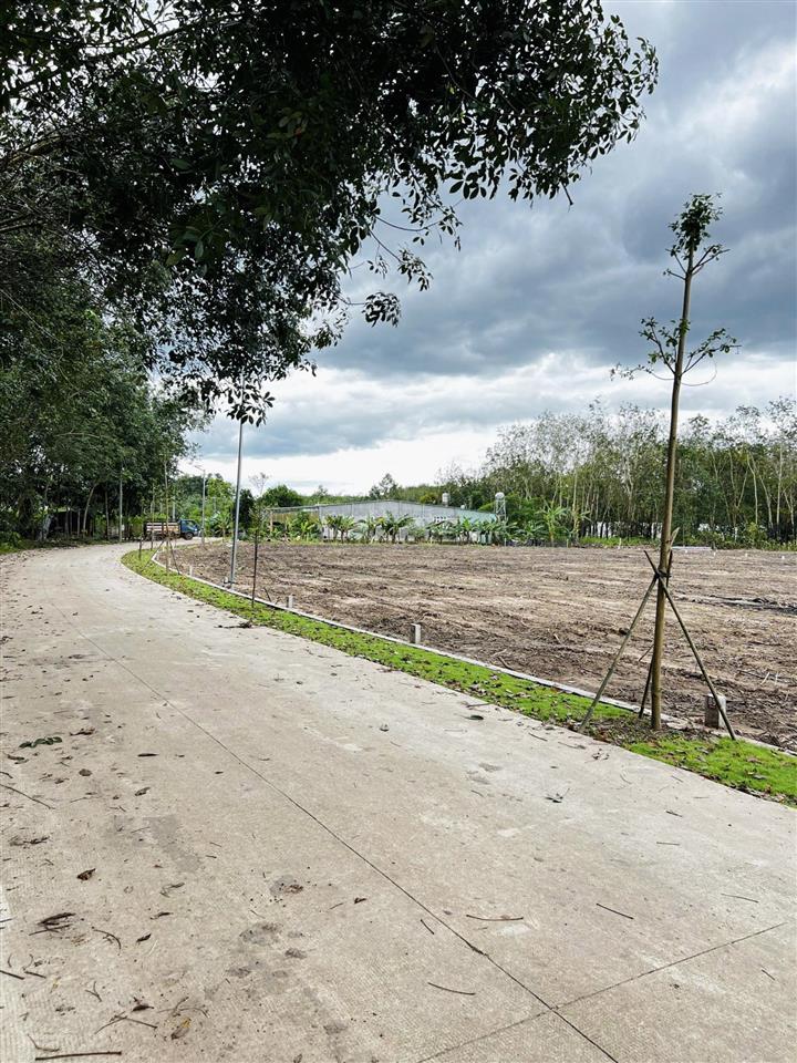 Đất nền ngang 8m chính chủ, 264m2 an linh giá 550tr hcm dân cư đông đúc sau lưng chợ an linh