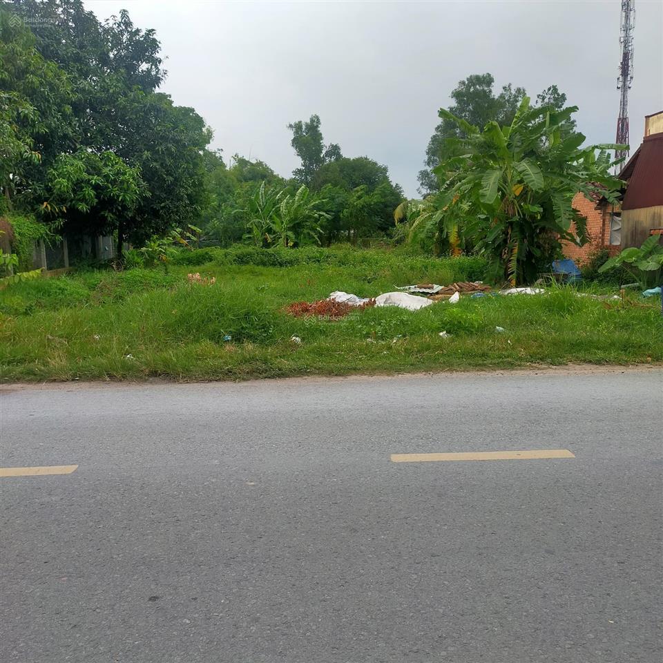 Bán đất đẹp mặt tiền đường nguyễn thị se, tân thông hội, củ chi