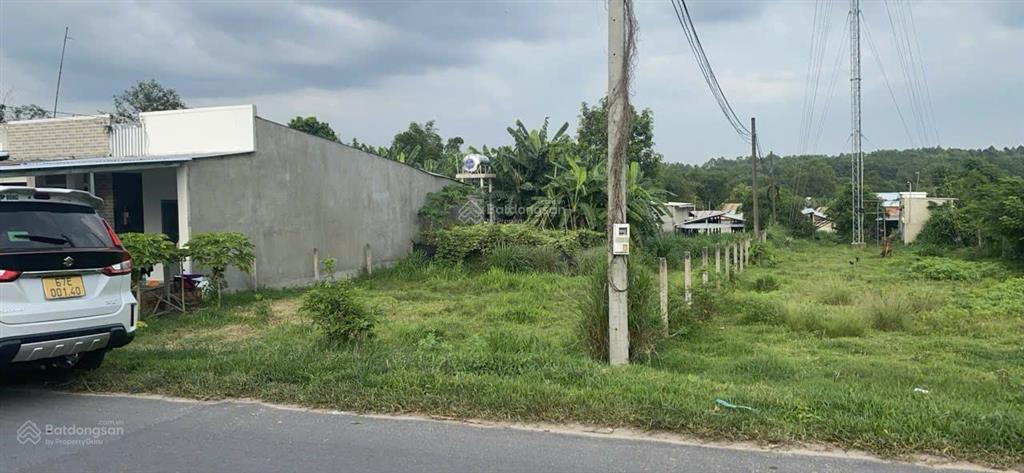 Bán đất mặt tiền đường bến đình 2 xe container tránh nhau, 737m2, full thổ cư, xã an nhơn tây.