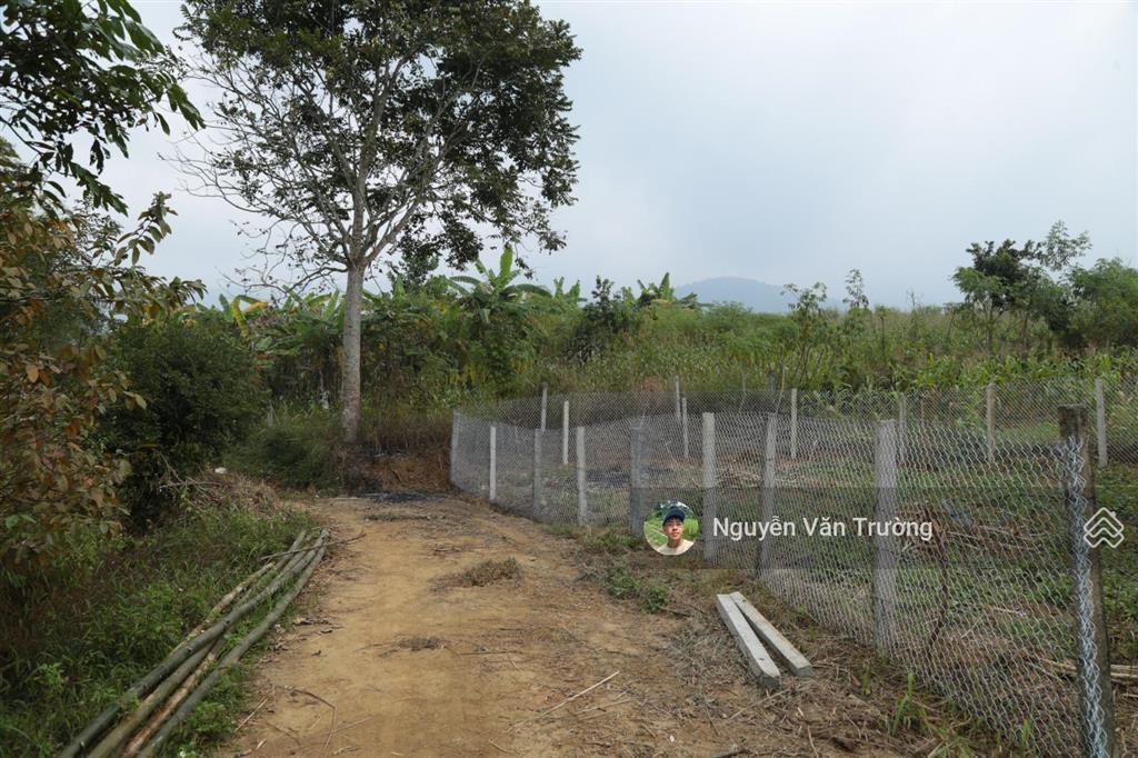 Bán 1579m2 đất vườn tại hợp phong cao phong hòa bình, đường bê tông vào tận đất