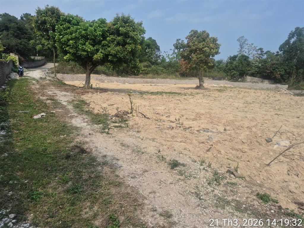 Bán đất 950m² tại xã hoàng tân, 14,5 tỷ, 30m mặt tiền