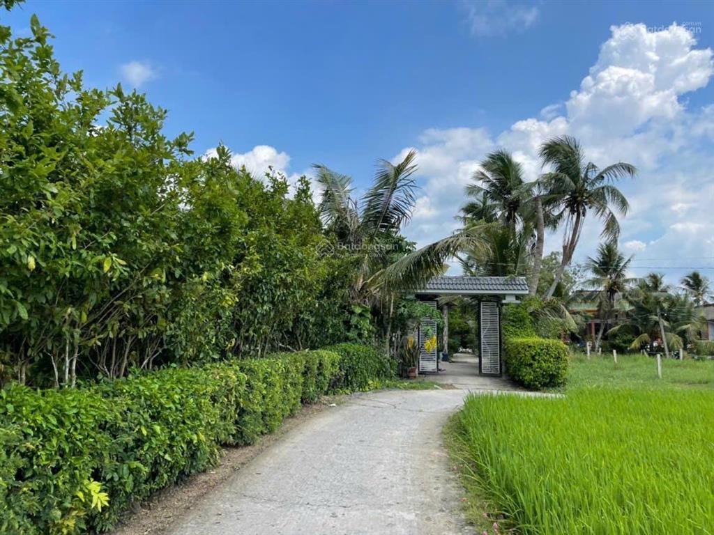 Chính chủ cần gửi bán gấp đất 132m² full thổ cư đường nguyễn văn đầy, long an