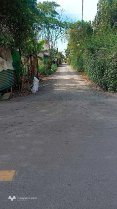 Bán lô đất rẻ 346m2 - giá 2 tỷ 500 triệu - Tân Phú Trung - Củ Chi