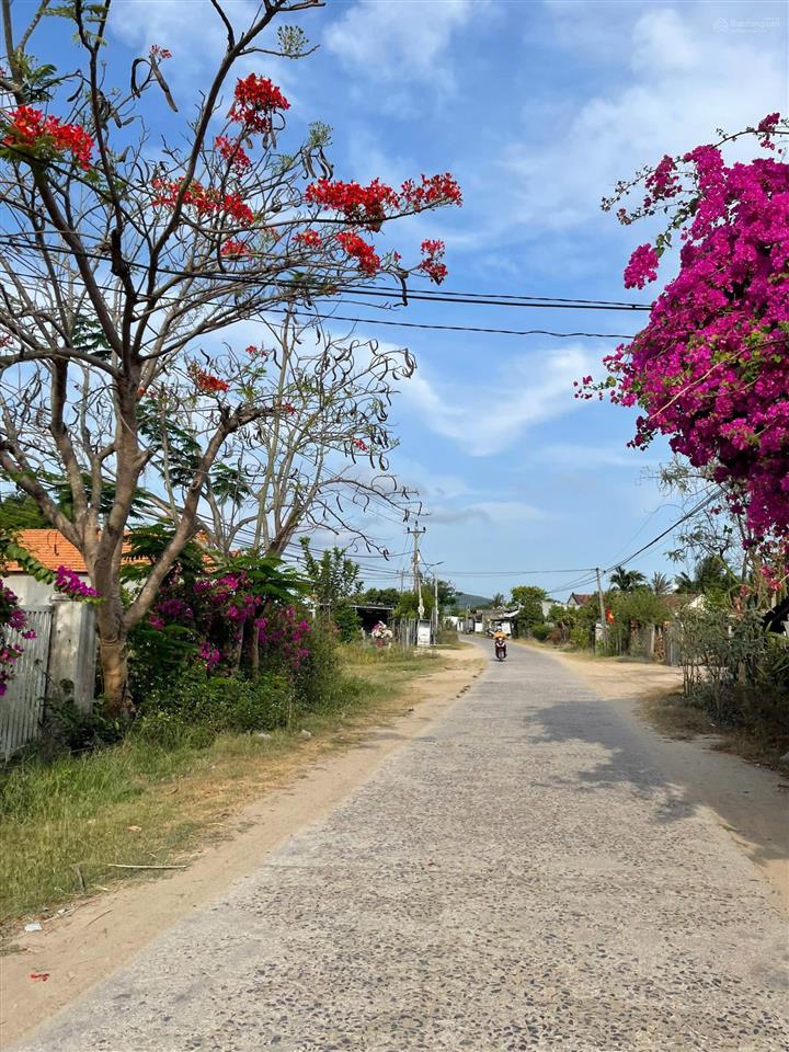Chỉ 580 triệu sở hữu ngay 319m2 đất ninh thượng ninh hòa, xây nhà vườn chill chill