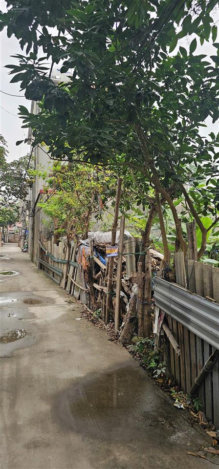 Chính chủ cần bán 172m2 đất trồng cây lâu năm, trong khu dân cư. miễn môi giới.