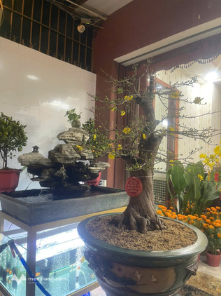 Nhà phố xinh rẻ 5m x 14m, 1 trệt 3 lầu Tạ Quang Bửu, Quận 8, thành phố Hồ Chí Minh