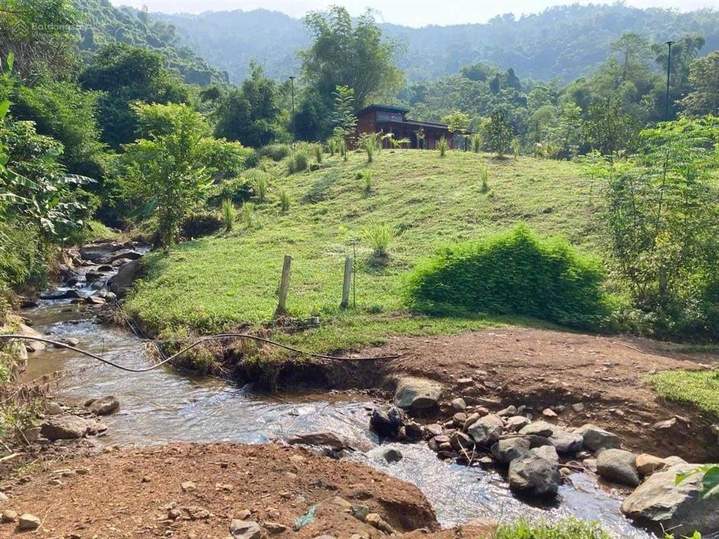 Chính chủ bán trang trại bám suối, gần hà nội, 3 mặt tiền, sẵn nhà gỗ đủ tiện nghi, xe vào tận nơi