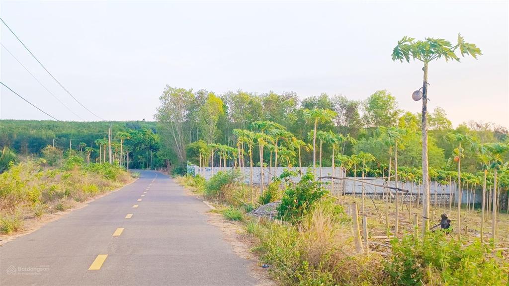 Long tân xã đất đỏ 4,2 tỷ sở hữu 3.797 m2 mặt tiền 64 m full hồng đường nhựa tim vàng đầu tư tốt