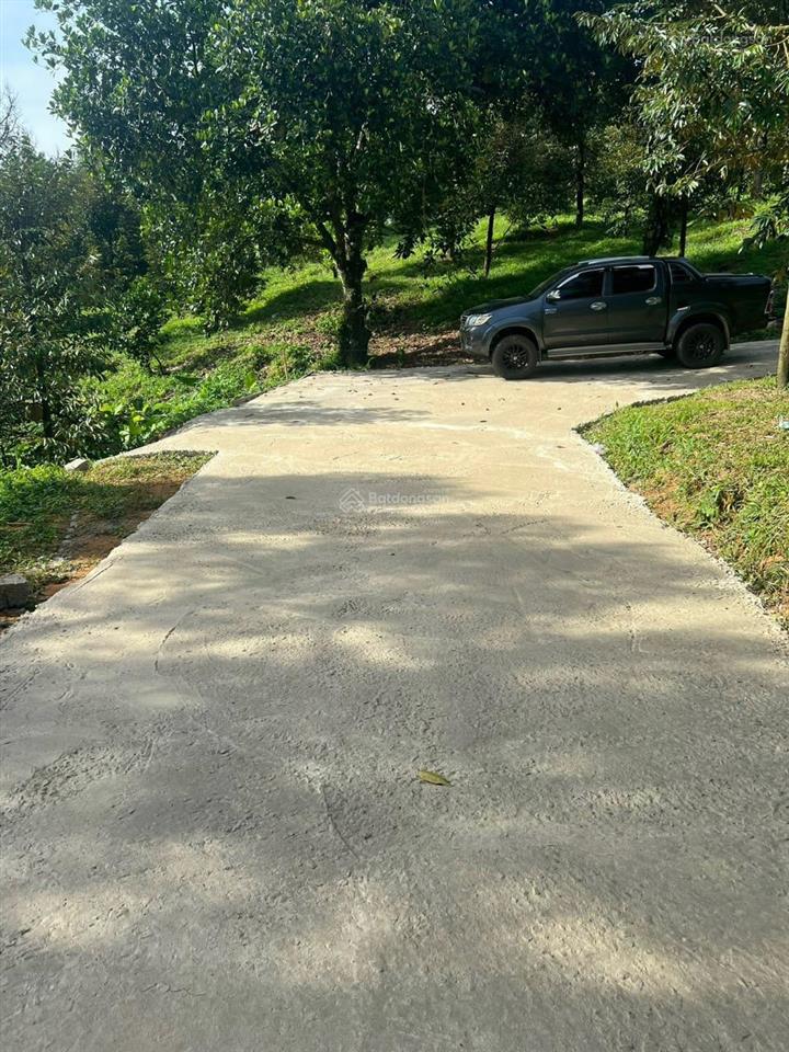 2000m² vườn trái cây cách quốc lộ 1km chỉ 1,3 tỷ