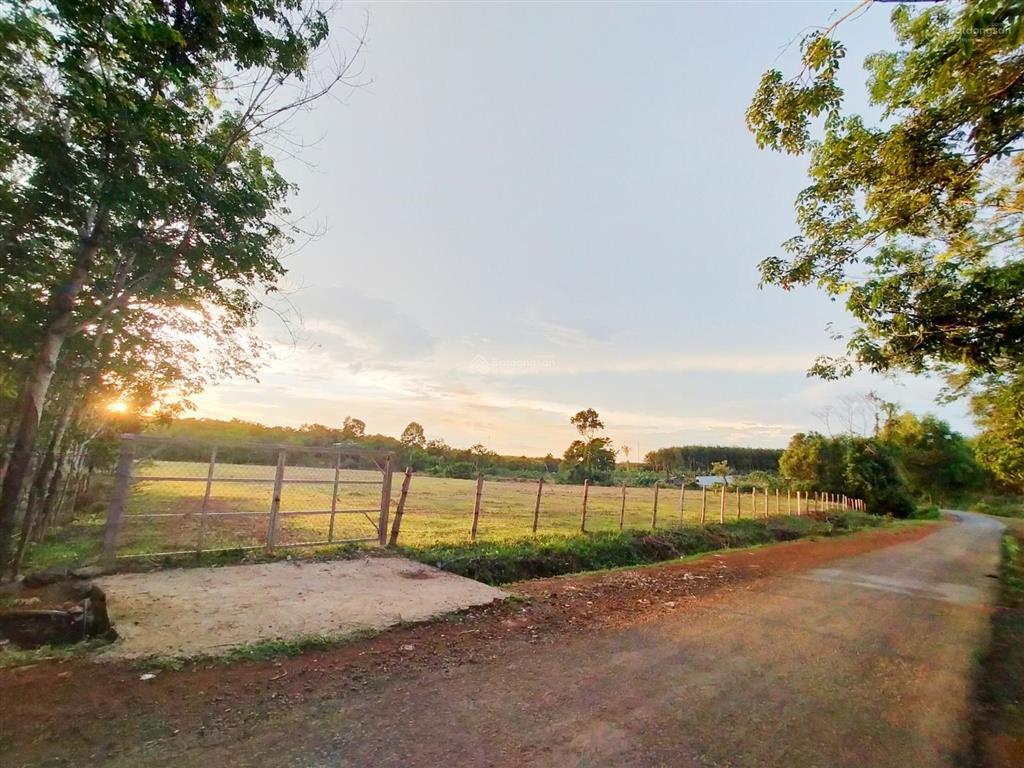 Bán 20.000m2 đường nhựa, thổ cư, điện, suối nước. đáp ứng thuận lợi cho khách quan tâm