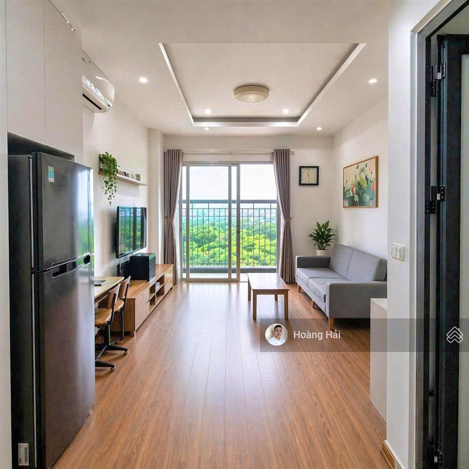 Bán căn hộ chung cư ecohome phúc lợi, 3,050 tỷ, 46 m², 2pn, 1wc, đầy đủ nội thất