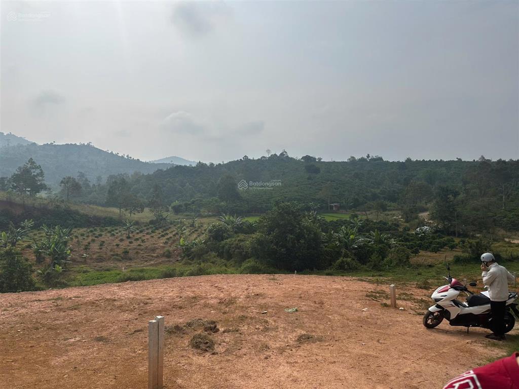 Bán đất xã hoa ninh di linh ngay cây xăng 16 đi vào 2km. dt 9x28m, giá 450 triệu full thổ