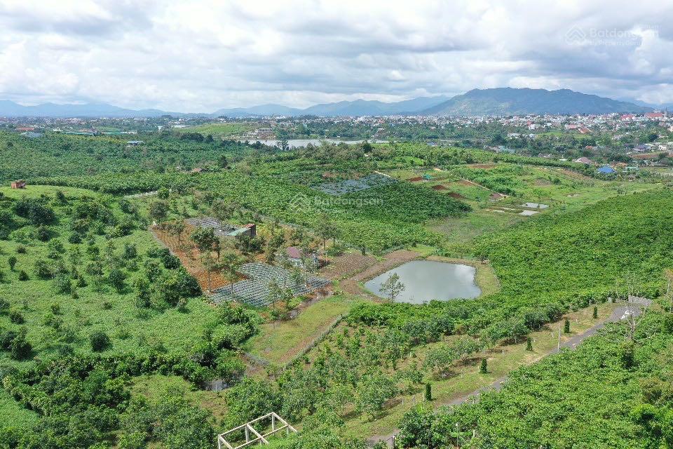 Bán nền đất có vườn bơ, gần thành phố, đường nhựa, ngang 10m, giá rẻ hơn ngân hàng định giá