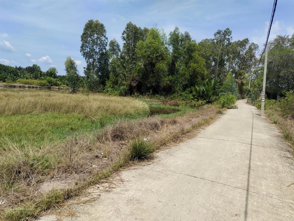 Chính gửi chủ cần bán lô 1100m2 mt cá súc, bình khánh, cần giờ chỉ 4.2tỷ