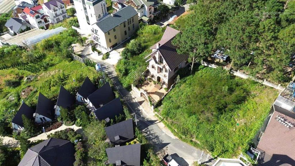 Đất biệt thự view rừng thông đ. trịnh hoài đức, p. đà lạt, đường nhựa ô tô, sổ xây dựng, giá 6.6 tỷ