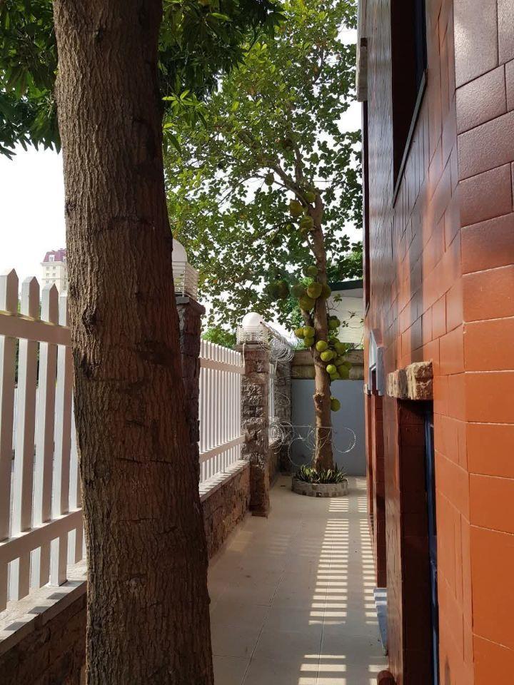 Lạc Long Quân, DT 185M2x5T, MT 27M, giá 147 tỷ SIÊU PHẨM - NHÀ BIỆT THỰ D6B-06 VƯỜN ĐÀO - HÀNG HIẾM CÓ