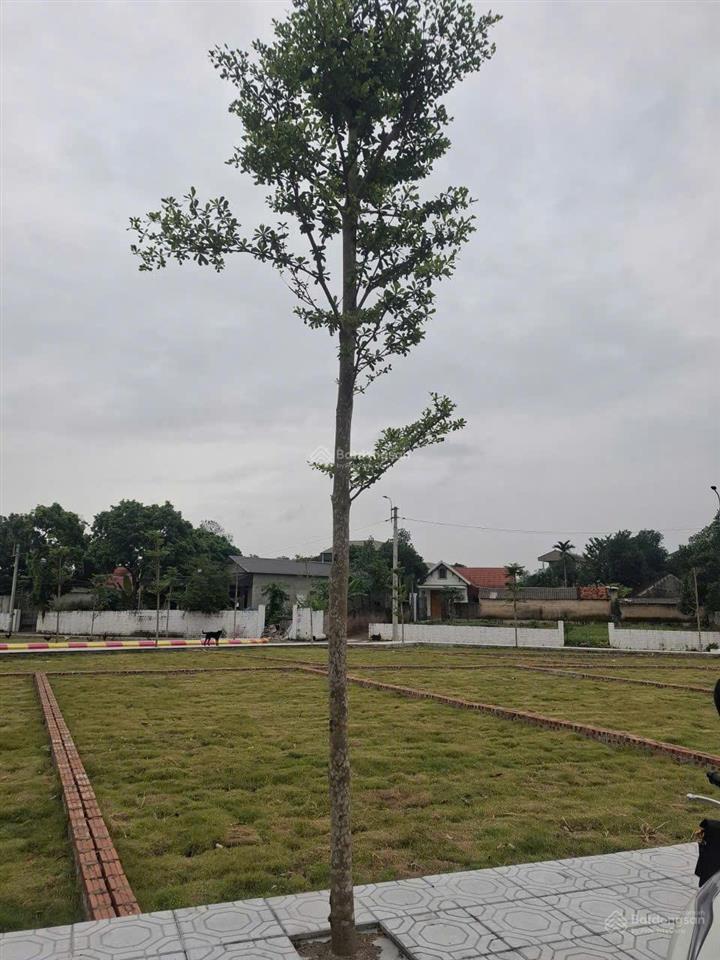 Cần bán lô đất 100m2, giá 2,2 tỷ trung tâm công nghệ cao hòa lạc, giá hời thị trường 2026