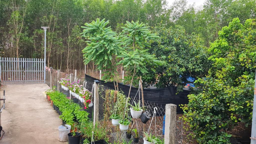 Giảm kịch khung 1 tỷ đồng cho lô đất nghỉ dưỡng sông nhạn cẩm mỹ gần sân bay long thành